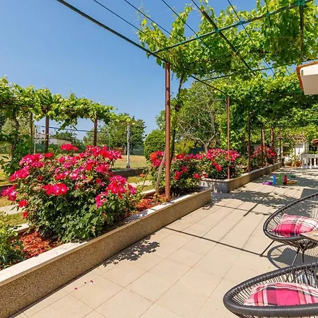 Guest house Wine And Roses Loborika