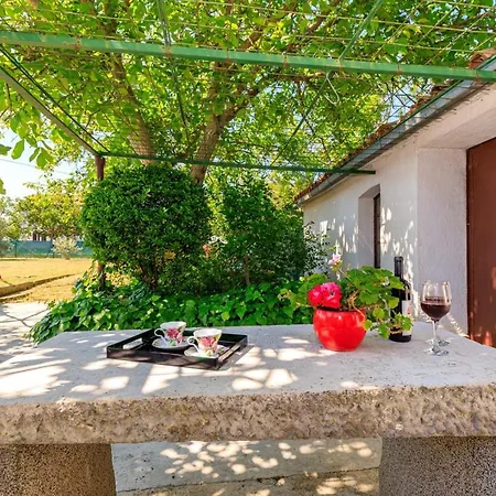 Wine And Roses Guest house *